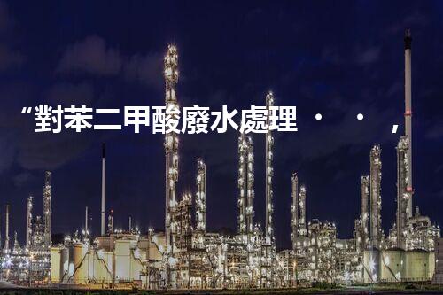 “對苯二甲酸廢水處理，綠色創(chuàng)新引領環(huán)保新篇章”